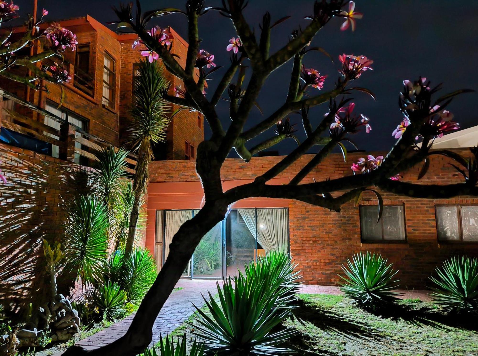 Beachfront Villa African Queen 11Beds Jeffreys Bay Kültér fotó